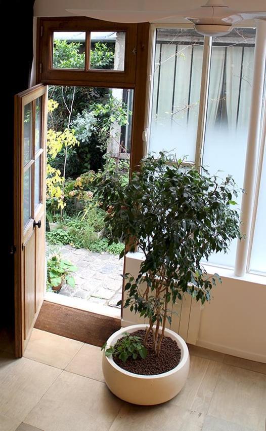 Atelier D'Artiste / Artist Loft / 35M2 Apartment Paris Ngoại thất bức ảnh